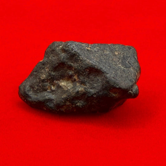 Meteorite NWA 869 Chondrite Stony Meteorite, 3.96 grams, Authentic Meteorite, Authentic Meteorite, COA, Astronomy Gift, Space Gift