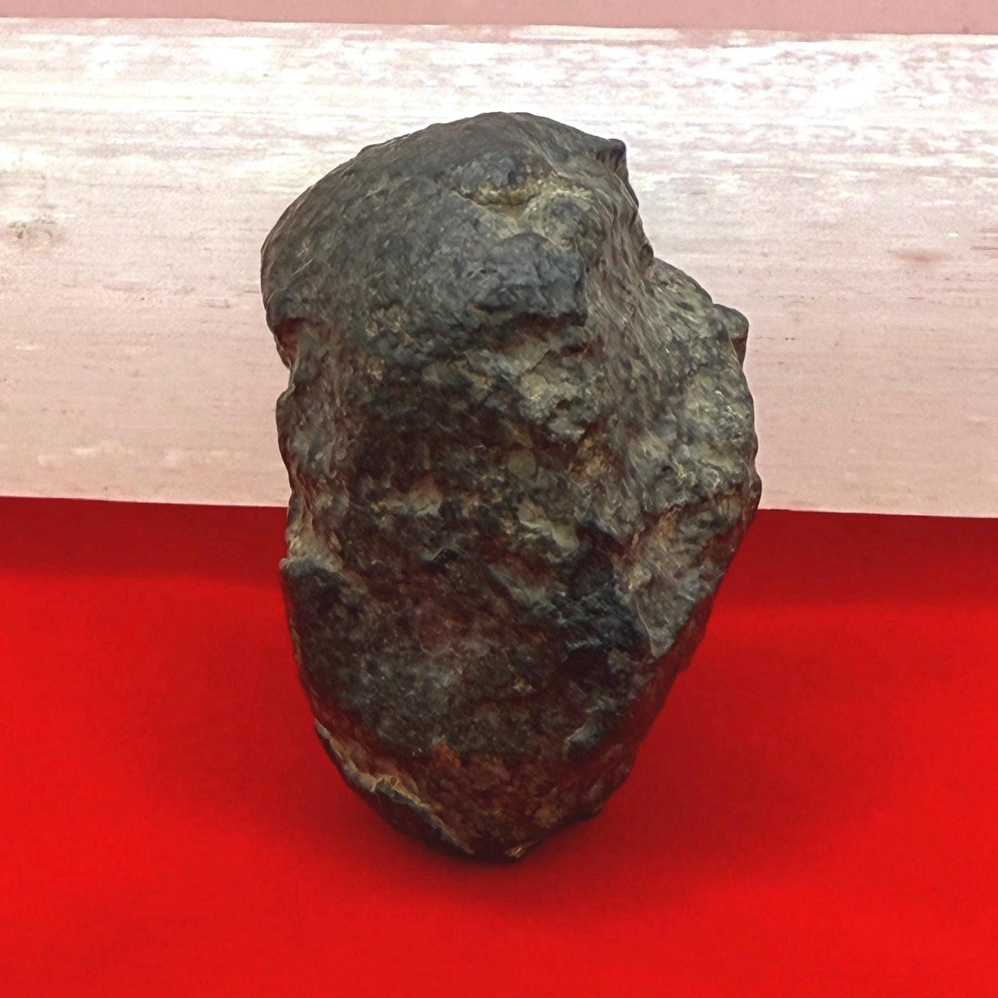 Meteorite NWA 869 Chondrite Stony Meteorite, 30.80 grams, Authentic Meteorite, Authentic Meteorite, COA, Astronomy Gift, Space Gift
