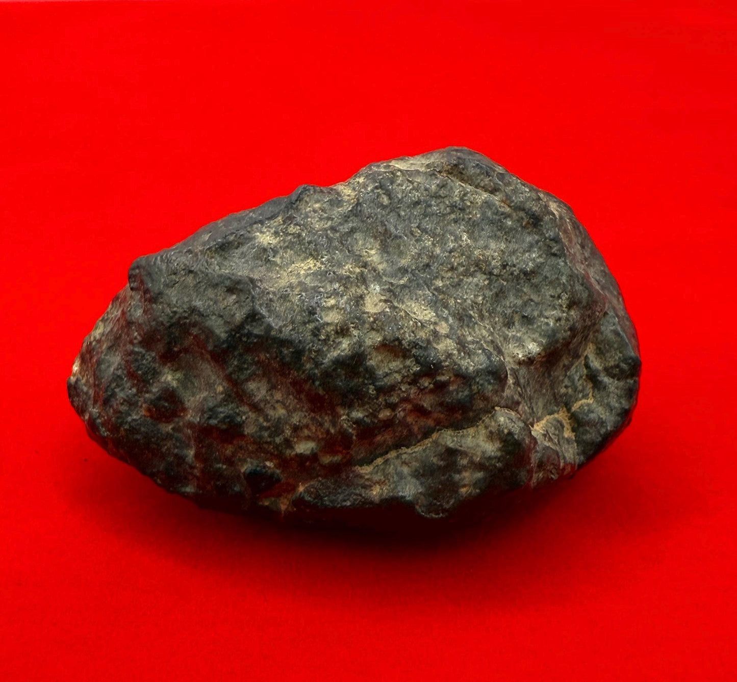 Meteorite NWA 869 Chondrite Stony Meteorite, 30.80 grams, Authentic Meteorite, Authentic Meteorite, COA, Astronomy Gift, Space Gift