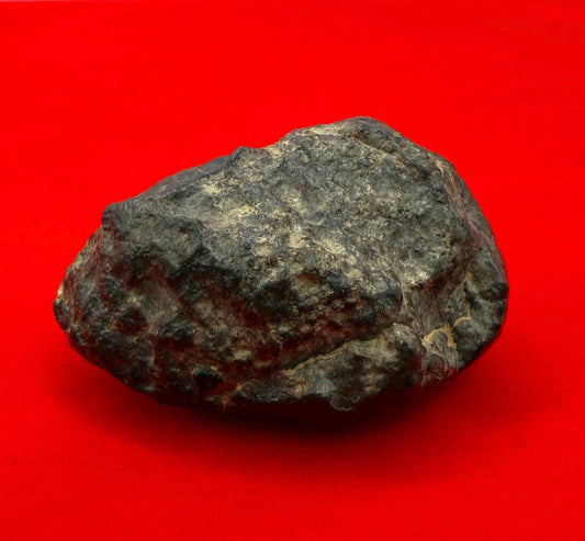 Meteorite NWA 869 Chondrite Stony Meteorite, 30.80 grams, Authentic Meteorite, Authentic Meteorite, COA, Astronomy Gift, Space Gift