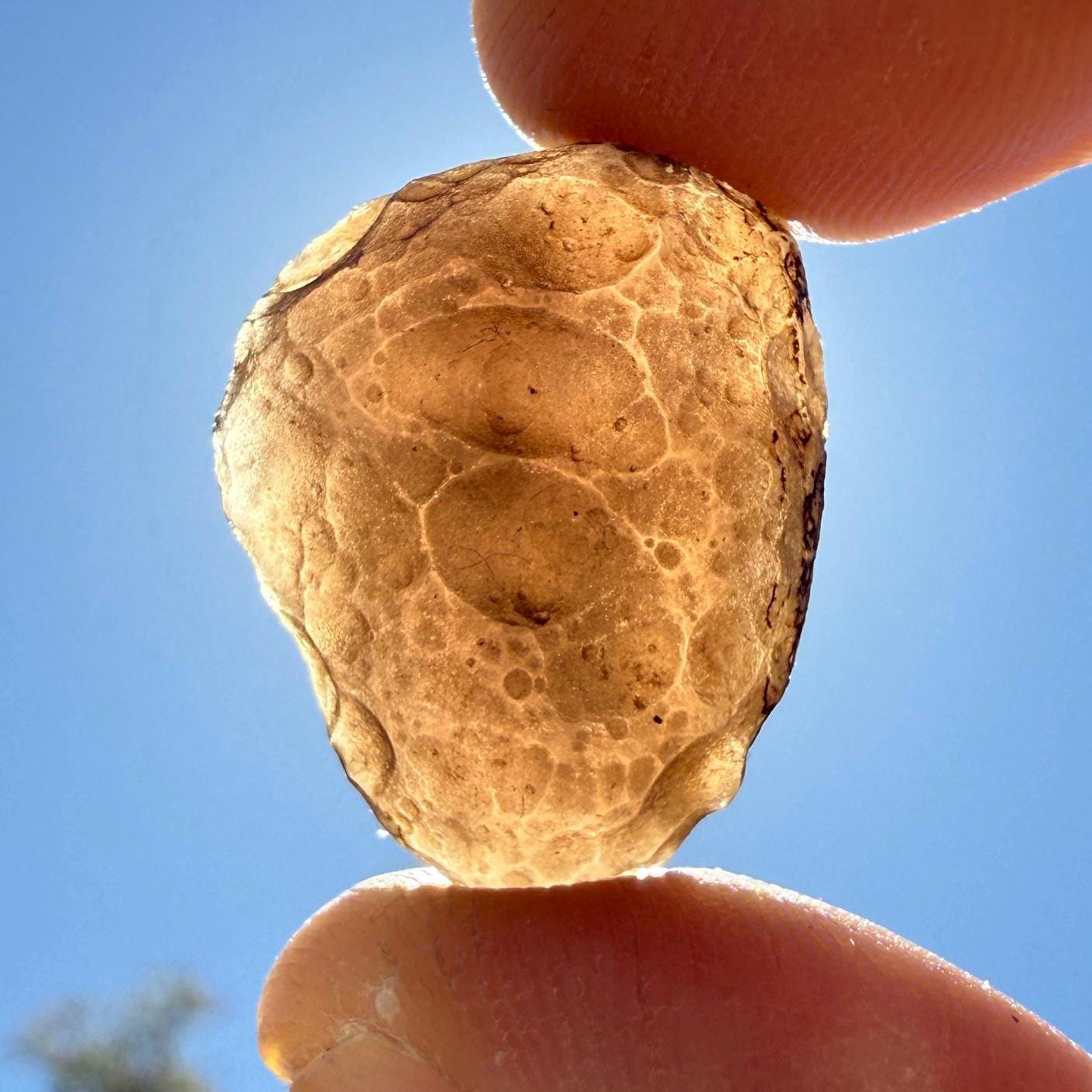 Saffordite Specimen, Cintamani, Rare and Beautiful, Shamanic, Arizona, Pseudotektite, Obsidian, Metaphysical, 6.02 grams