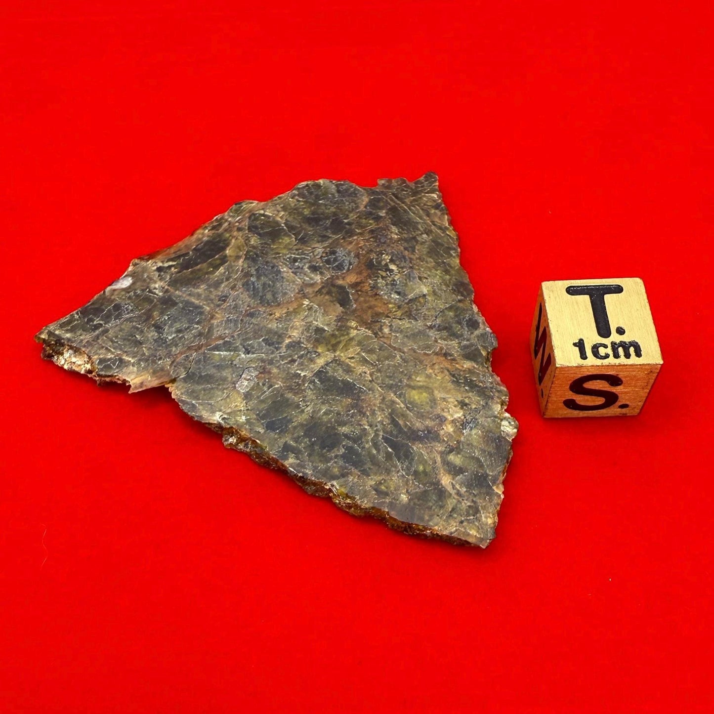 NWA 7831 Diogenite Meteorite Slice, HED Achondrite Meteorite, Diogenite, Astronomy Gift, Space Gift, Iron Meteorite, Space, 9.67 grams