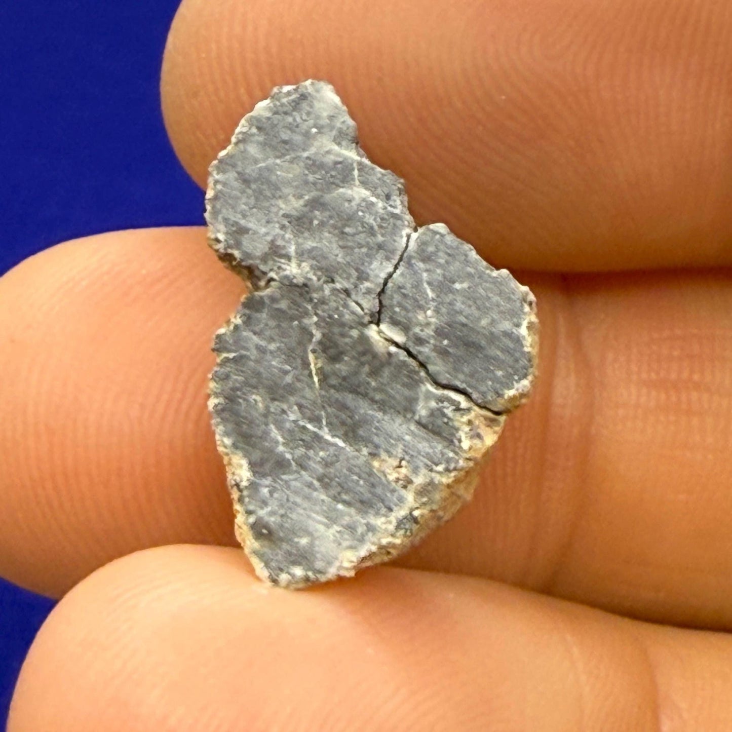 Bechar 007 Moon|Lunar Meteorite, Feldspathic Breccia, Moon Meteorite Half, Meteorite Collection, Lunar Feldspathic Breccia, 2.28 grams