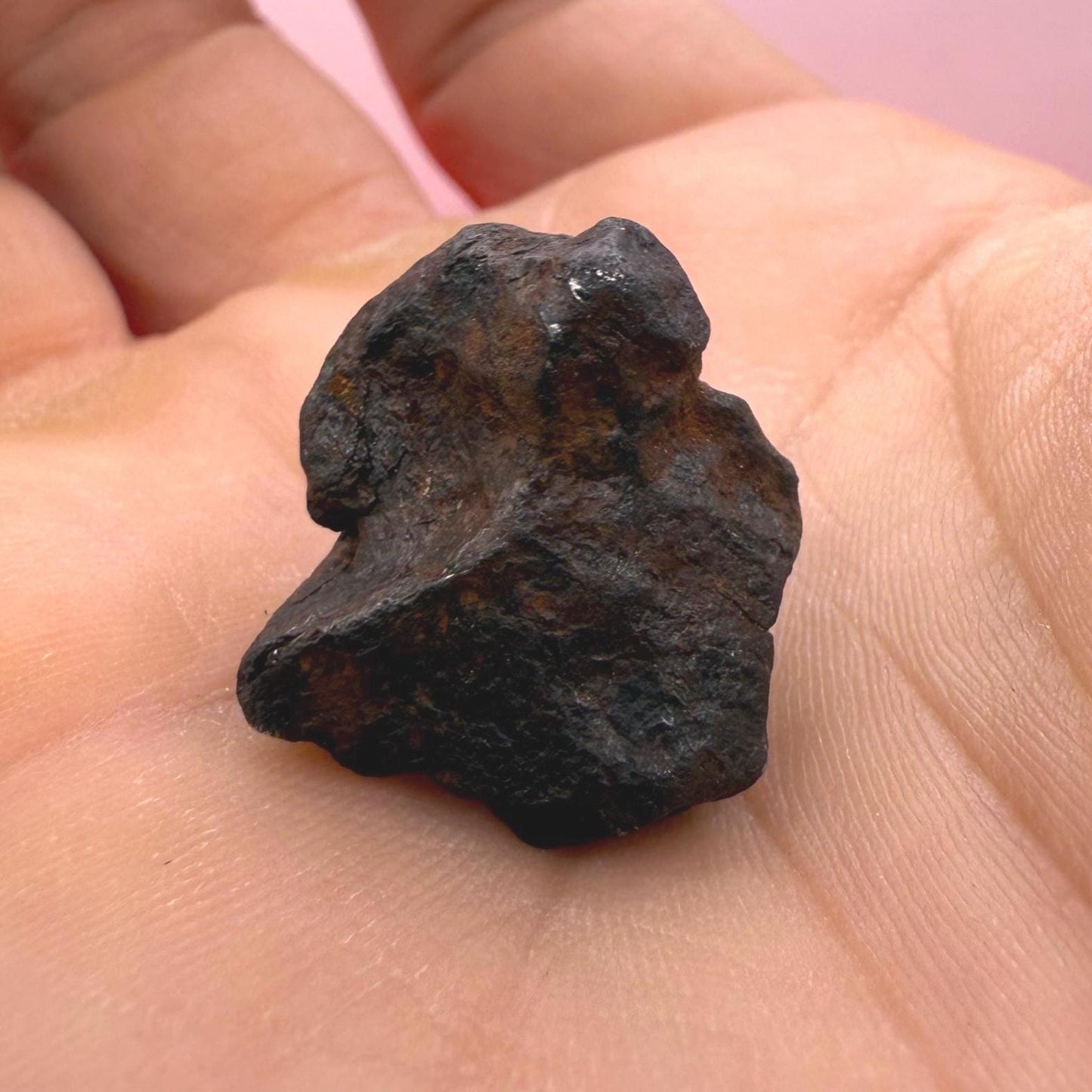 Canyon Diablo Meteorite Specimen, Arizona, 14.08 grams, Rare Meteorite, Iron Meteorite, Astronomy Gift, Space Gift, Energy Work, Meteorite