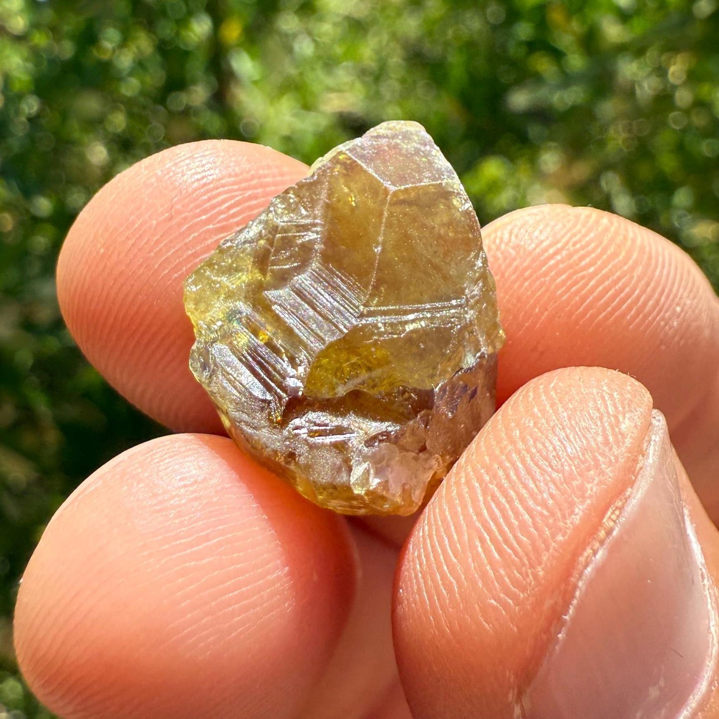Sphene, Titanite, Golden Brown Sphene, Madagascar, Crystal Collection, Willpower, Mental Clarity, Reiki, Solar Plexus, 4.74 grams