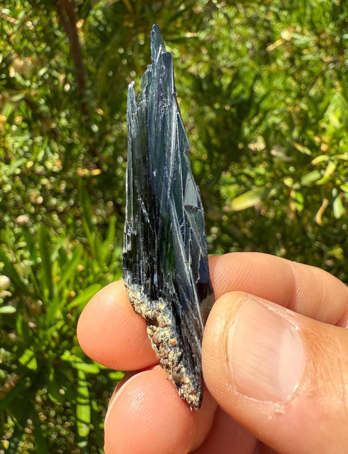 Rare Vivianite Crystal, Vivianite, Vivianite, Brazilian Vivianite, Reiki Energy, Crystal Collection, Reiki, 7.21 grams| 36.05 carats