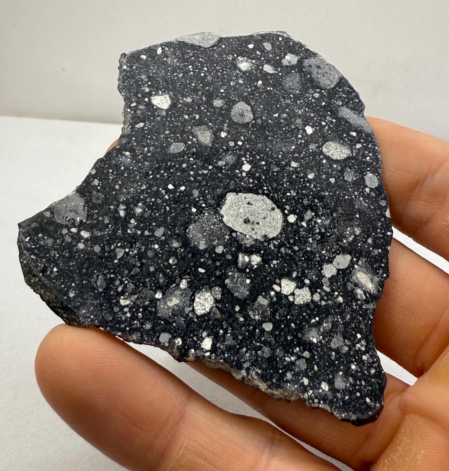 NWA 17679 Lunar Meteorite Slice, Rare Feldspathic Breccia Lunar, Mauritania, Africa, Moon Rock, Astronomy Gift, 23.42 grams