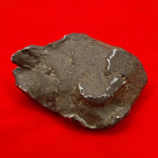 Unique Iron Meteorite Specimen Gebel Kamil, 72.49 grams, Astronomy Gift, Space Gift, Iron Meteorite, Egypt, Meteorite Collection, Space