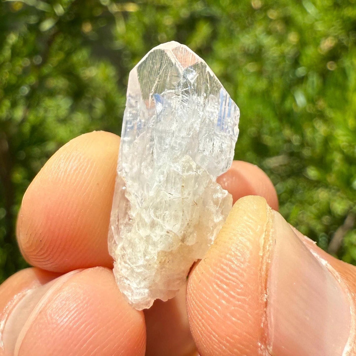 Top Quality Danburite Crystal, Grade A Mexican Danburite, Reiki, Synergy Twelve, Crystal Collection, Chakras, Crystals, 3.60g/18.0ct