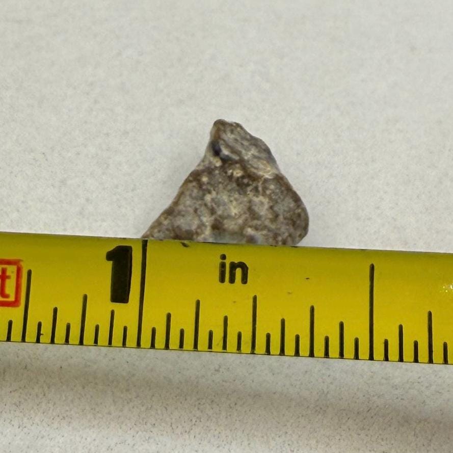 NWA 13974 Moon|Lunar Meteorite, Feldspathic Breccia, Moon Meteorite, Meteorite Collection, Lunar Feldspathic Breccia, 0.62 grams