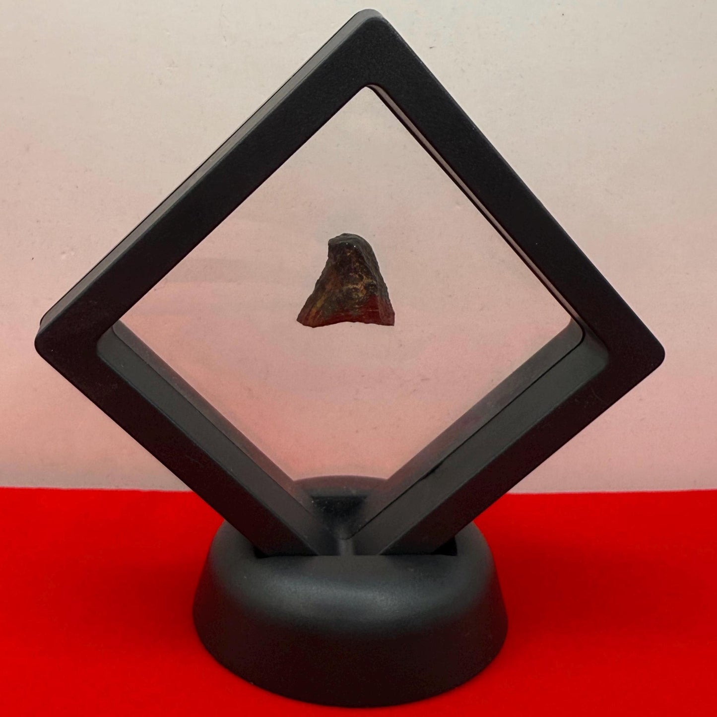 Gibeon Meteorite, Namibia, Iron IVA, 5.18 grams, Rare Meteorite, Iron Meteorite, Astronomy Gift, Space Gift, African Meteorite