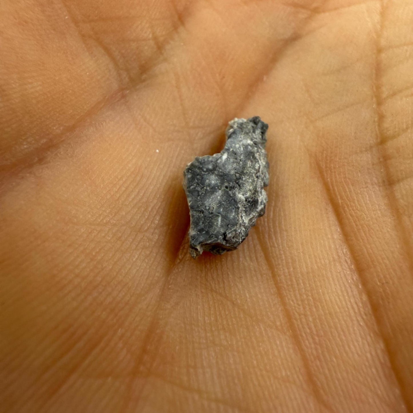 Gadamis 003 Moon/Lunar Meteorite Slice, Authentic Lunar Meteorite,Apollo Lunar, Moon Meteorite, Meteorite Collection, Moon Slice, 0.44 grams