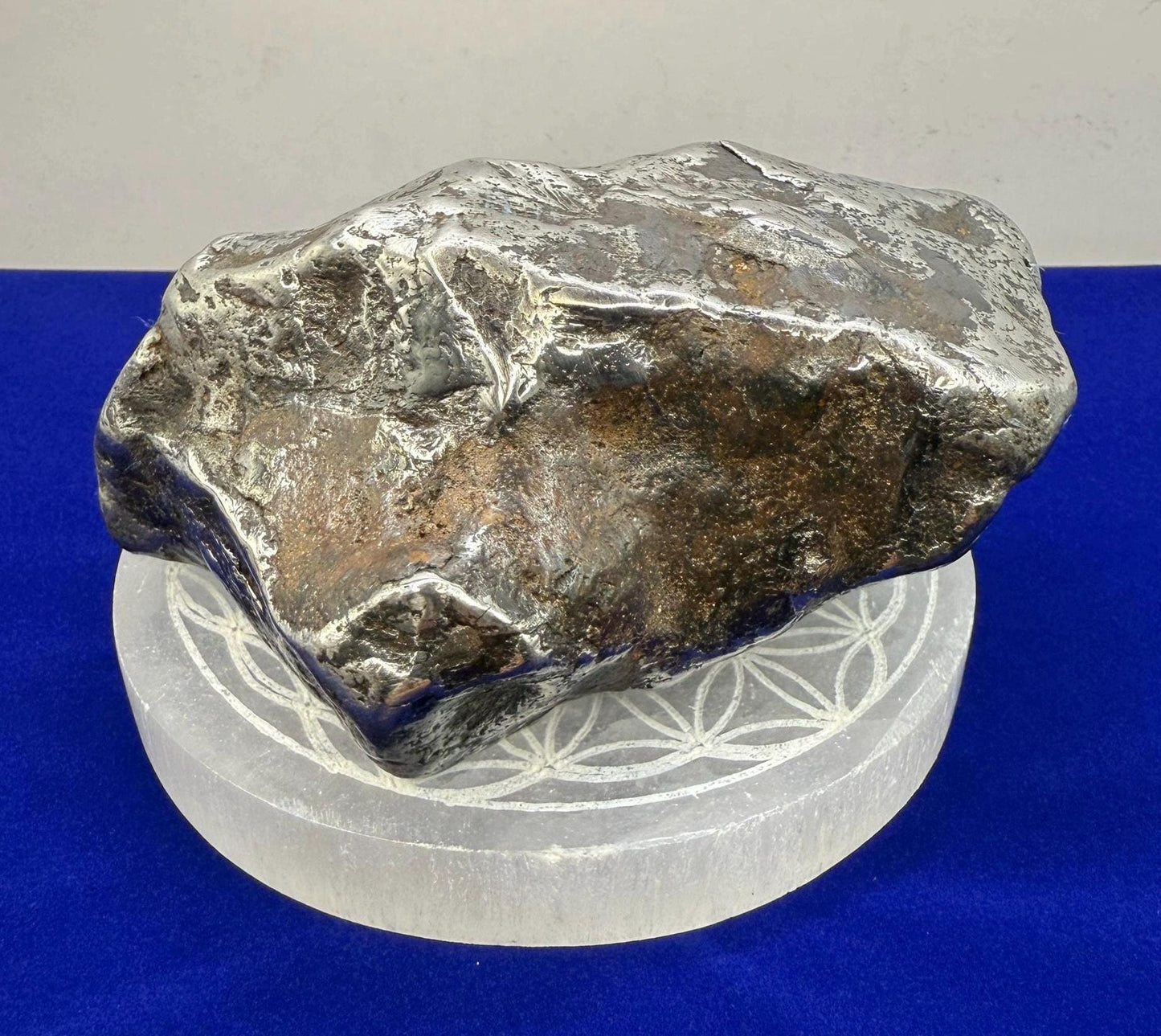Beautiful Large Aletai Meteorite Specimen, 3 lbs 2.1oz, Meteorite Collection, Astronomy Gift, Authentic Meteorite, Space Gift, Office Decor