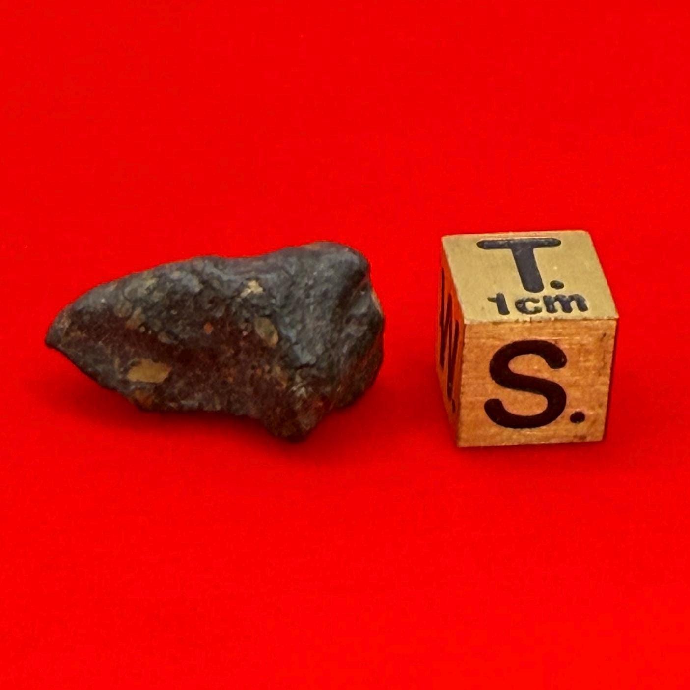Meteorite NWA 869 Chondrite Stony Meteorite, 3.96 grams, Authentic Meteorite, Authentic Meteorite, COA, Astronomy Gift, Space Gift