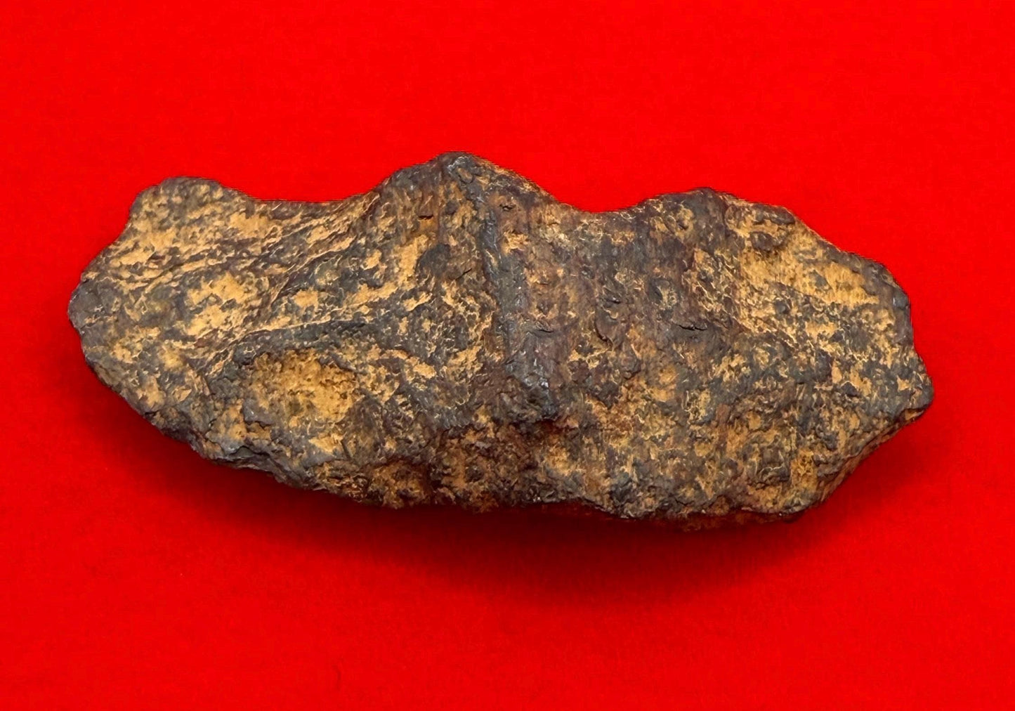 Henbury Meteorite Specimen, Australia, 9.57 grams, Rare Meteorite, Iron Meteorite, Astronomy Gift, Space Gift, Australian Meteorite