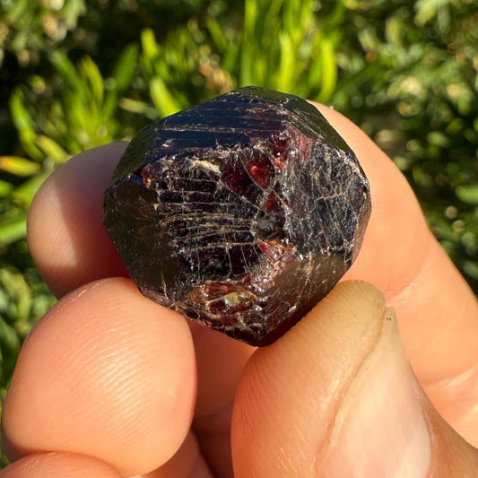 Almandine Garnet, Garnet, Morocco, Natural Garnet, Authentic, Manifestation, Protection, Rock Collection, Dodecahedron, 15.39 grams