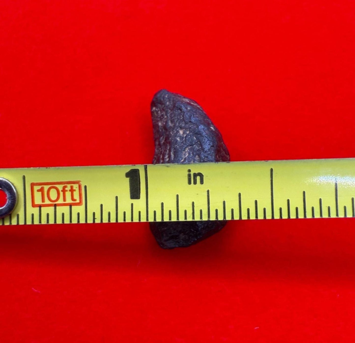 Gibeon Meteorite, Namibia, Iron IVA, 5.50 grams, Rare Meteorite, Iron Meteorite, Astronomy Gift, Space Gift, African Meteorite