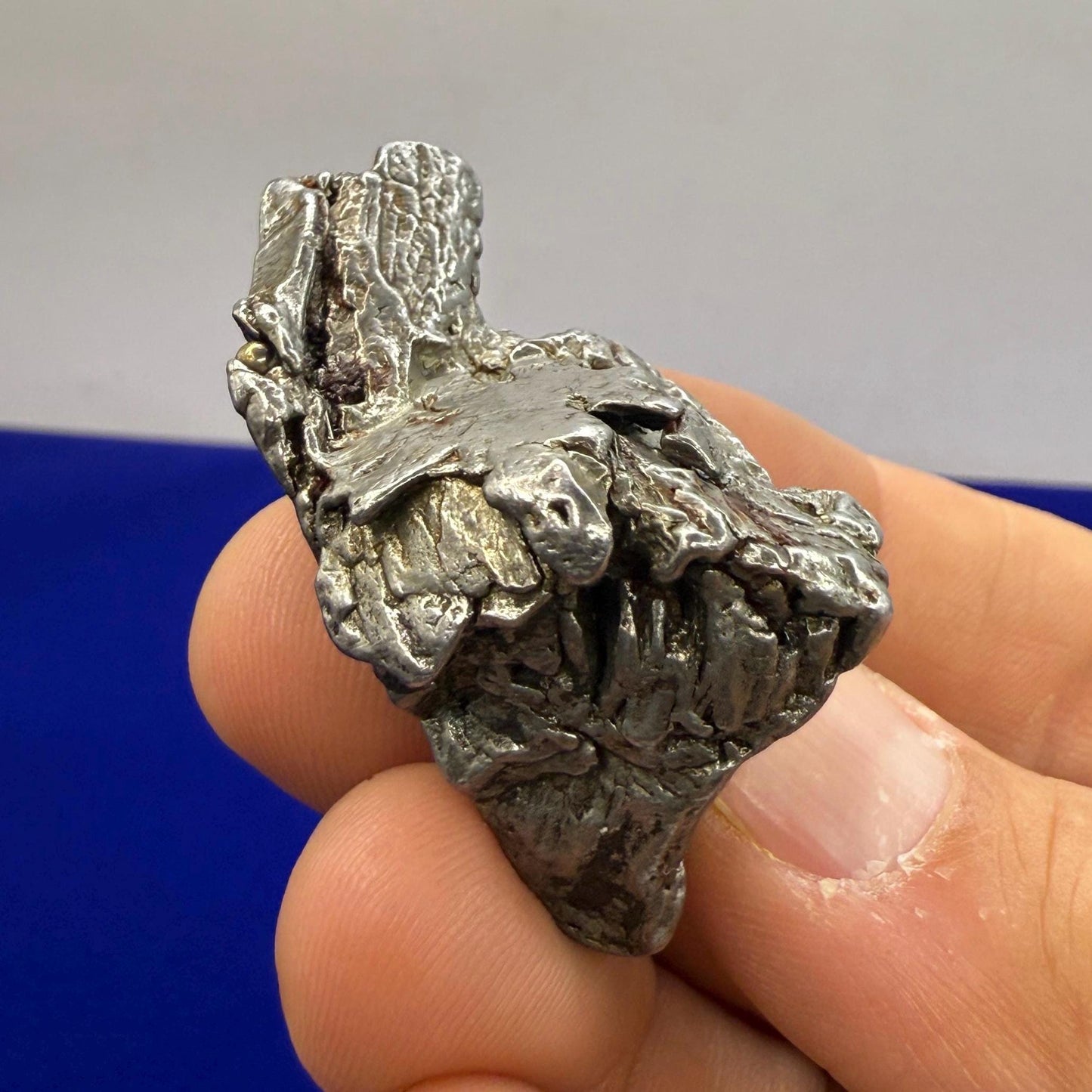 Beautiful Aletai Meteorite Specimen, 45.85 grams, COA, Meteorite Collection, Astronomy Gift, Authentic Iron Meteorite, Space Gift, Space