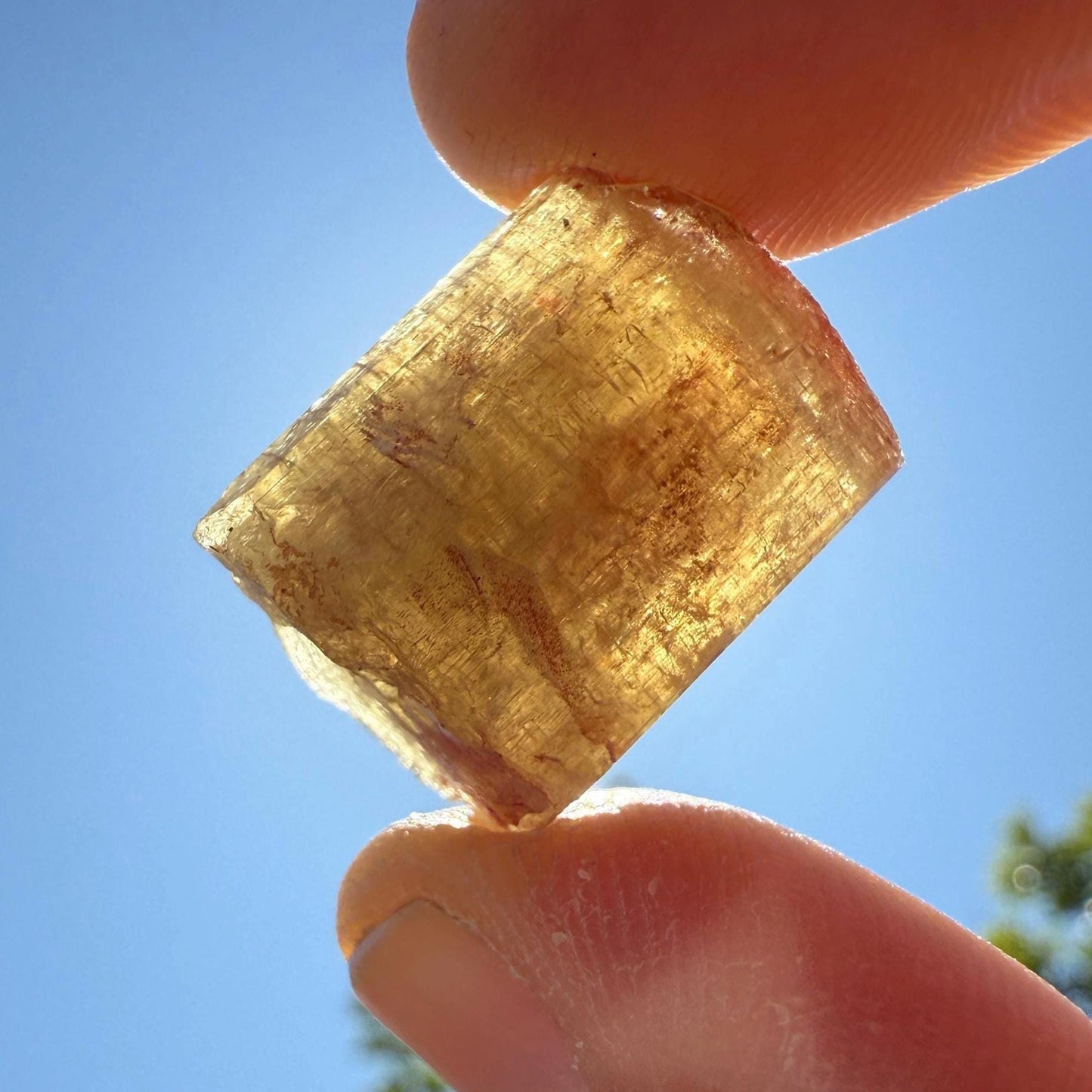 Moroccan Yellow Apatite Crystal: Solar Plexus Stone, Crystal Collection, 10.13 Grams/50.65 Carats