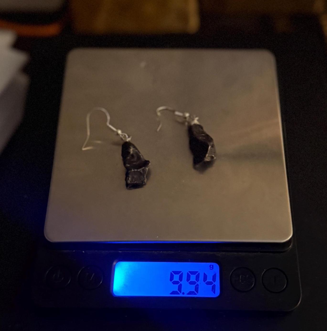 Agoudal Meteorite Earrings, Agoudal, Astronomy Gift, Space Gift, Iron Meteorite, Dangle Earrings, Authentic Iron Meteorite, 9.94 Grams