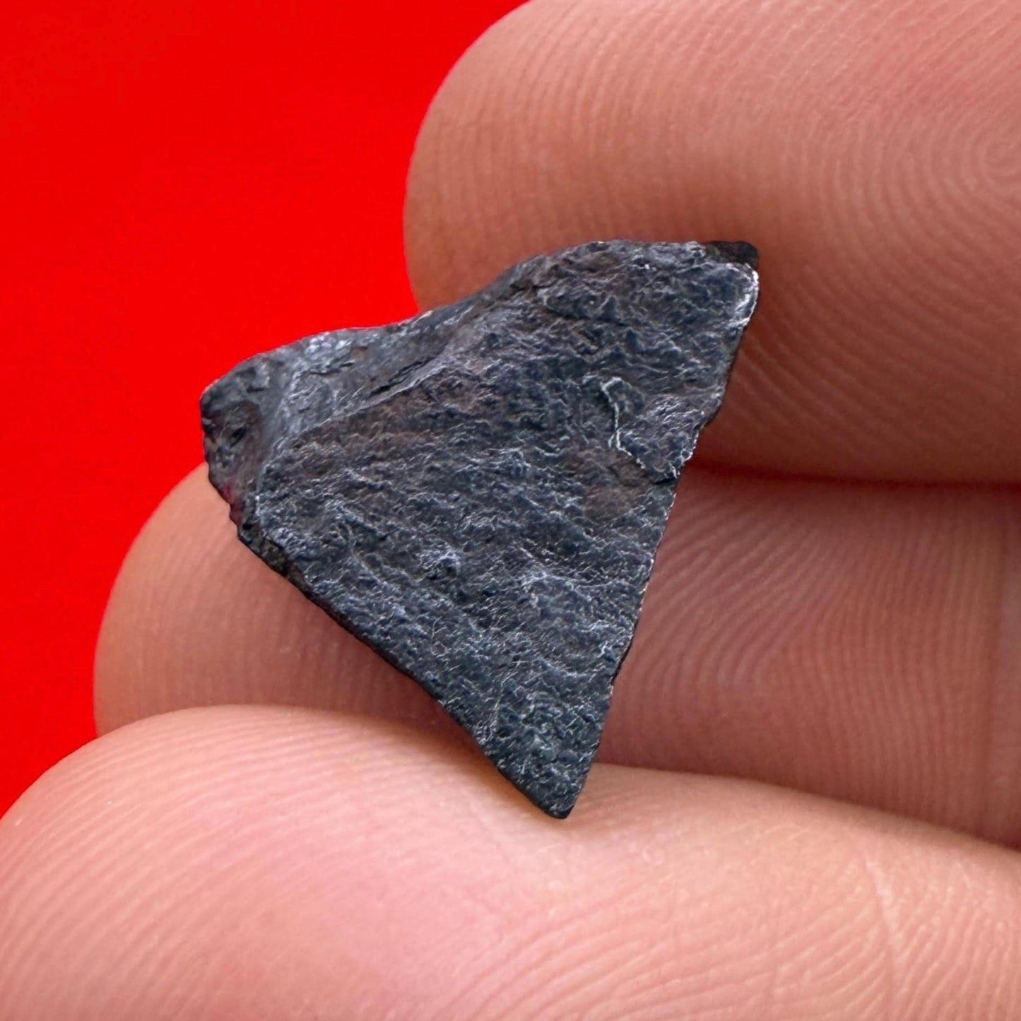 Gibeon Meteorite, Namibia, Iron IVA, 2.90 grams, Rare Meteorite, Iron Meteorite, Astronomy Gift, Space Gift, African Meteorite