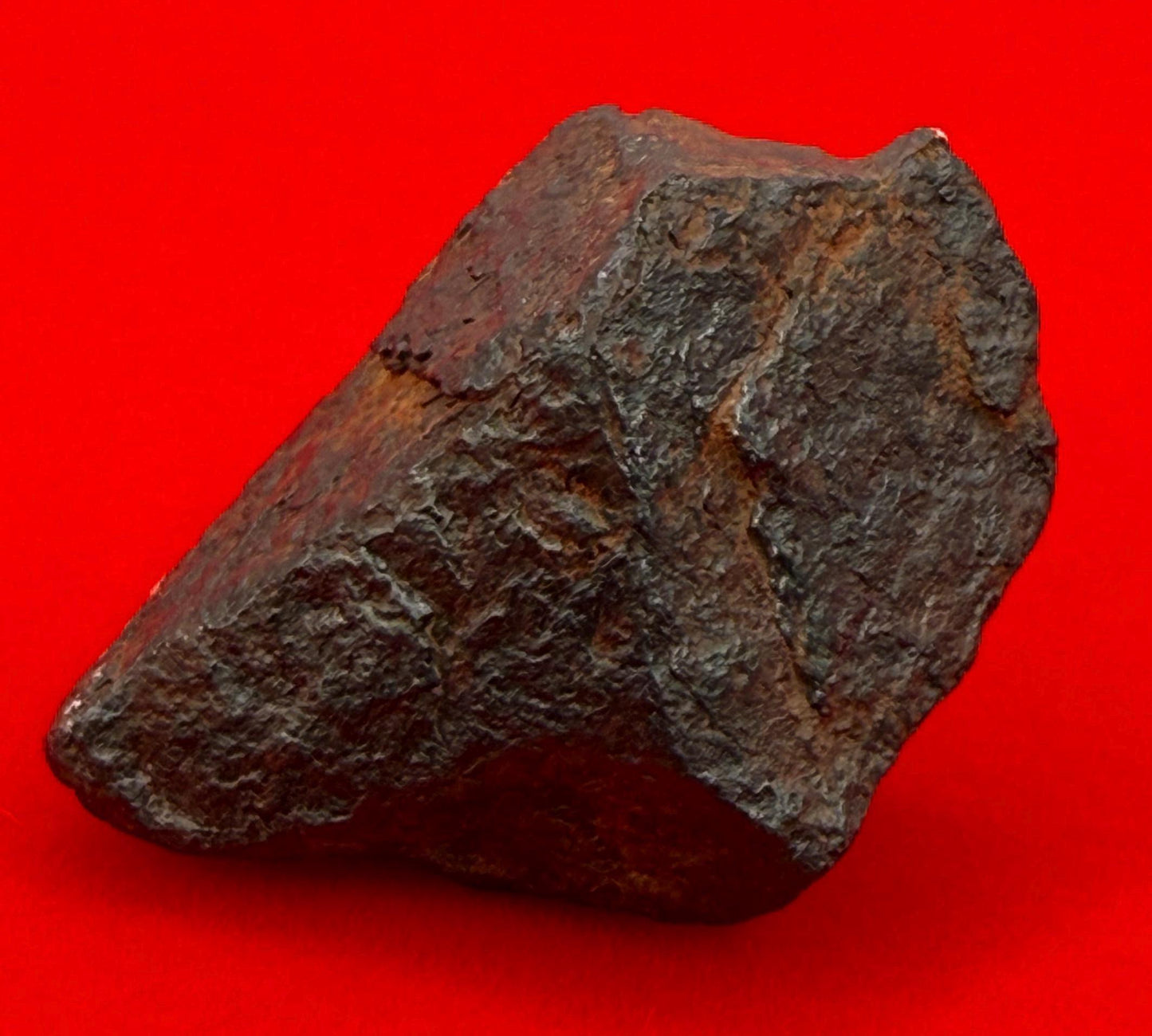 Gibeon Meteorite, Namibia, Iron IVA, 24.45 grams, Rare Meteorite, Iron Meteorite, Astronomy Gift, Space Gift, African Meteorite