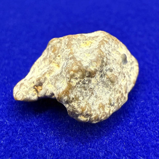 NWA 13974 Moon|Lunar Meteorite, Feldspathic Breccia, Moon Meteorite, Meteorite Collection, Lunar Feldspathic Breccia, 1.05 grams
