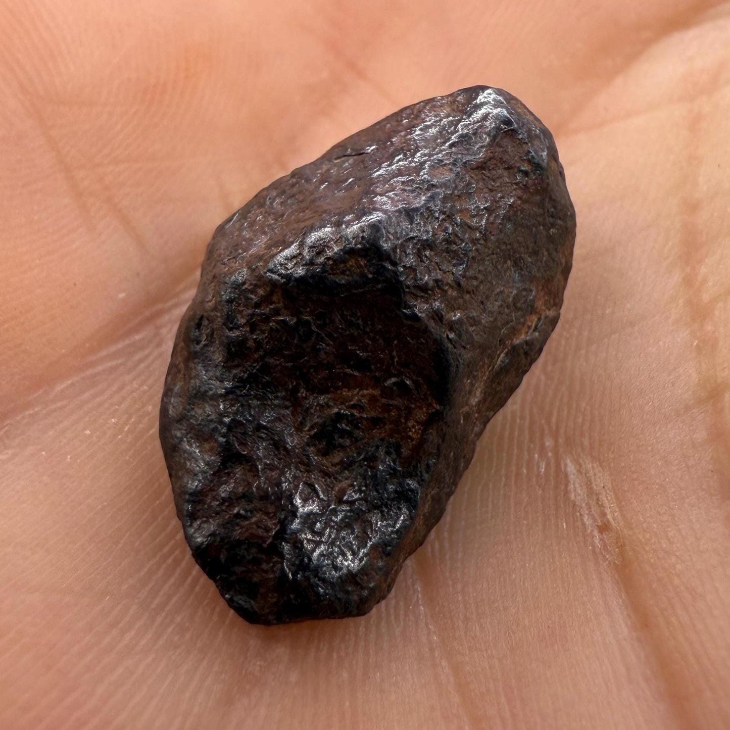 Gibeon Meteorite, Namibia, Iron IVA, 7.58 grams, Rare Meteorite, Iron Meteorite, Astronomy Gift, Space Gift, African Meteorite