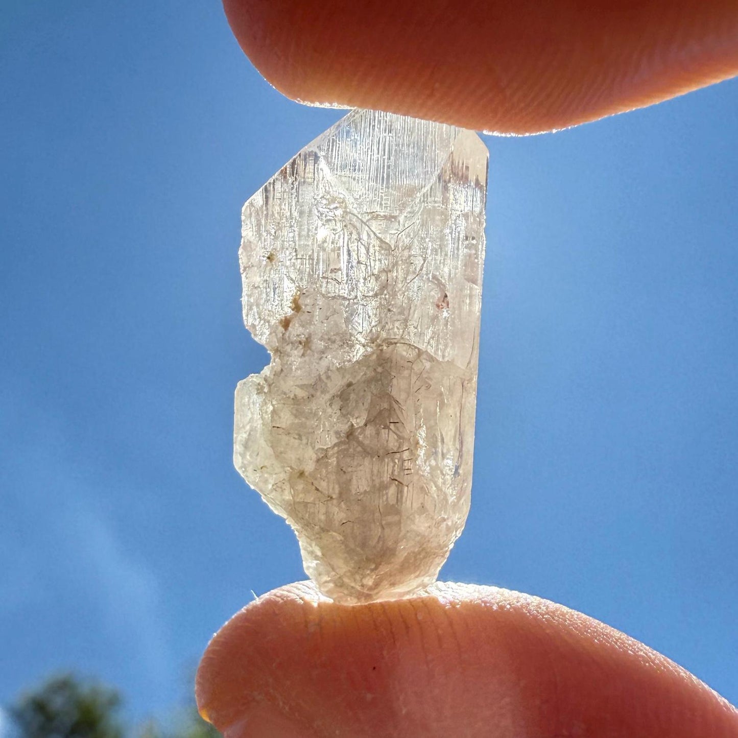 Top Quality Danburite Crystal, Grade A Mexican Danburite, Reiki, Synergy Twelve, Crystal Collection, Chakras, Crystals, 3.60g/18.0ct