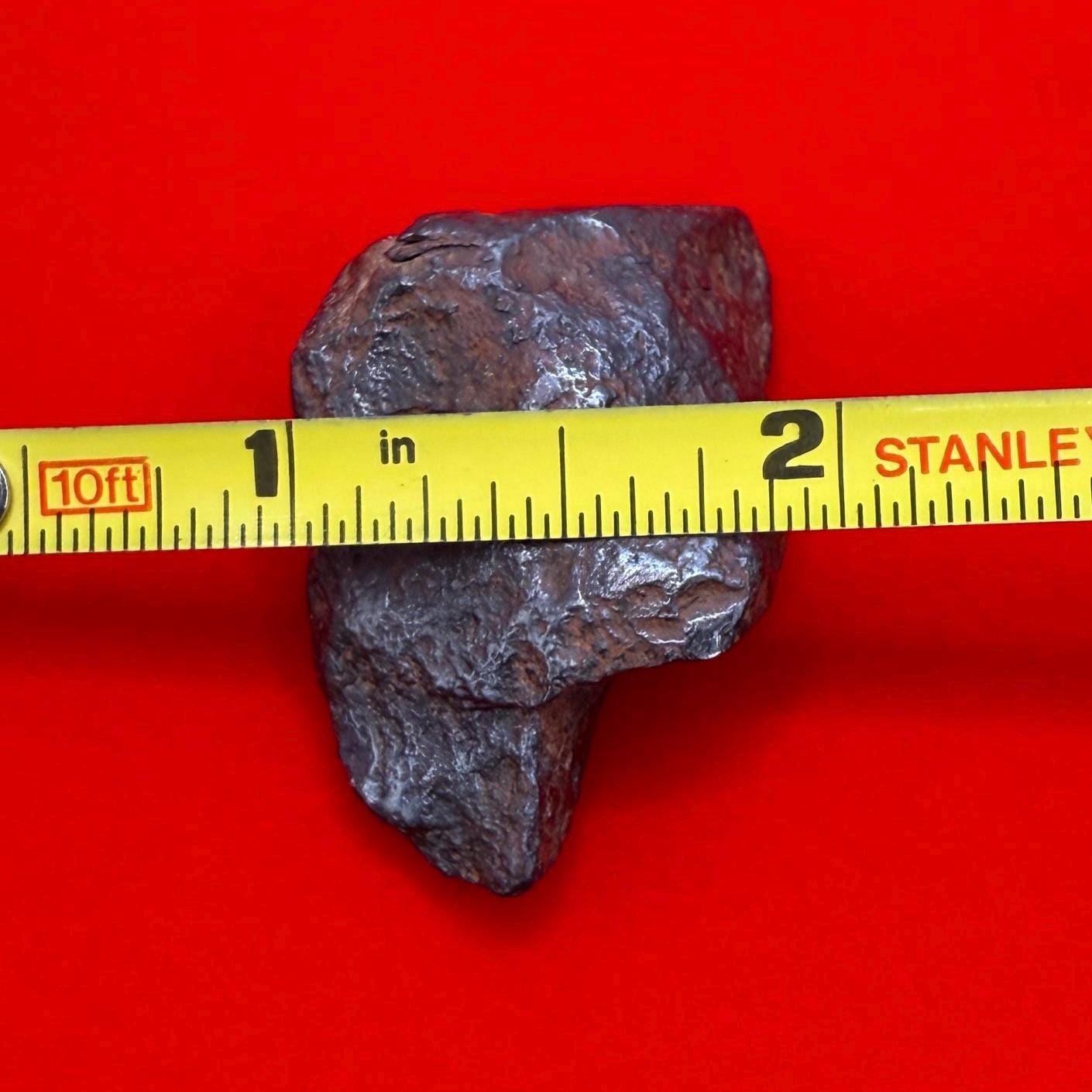 Gibeon Meteorite, Namibia, Iron IVA, 36.31 grams, Rare Meteorite, Iron Meteorite, Astronomy Gift, Space Gift, African Meteorite