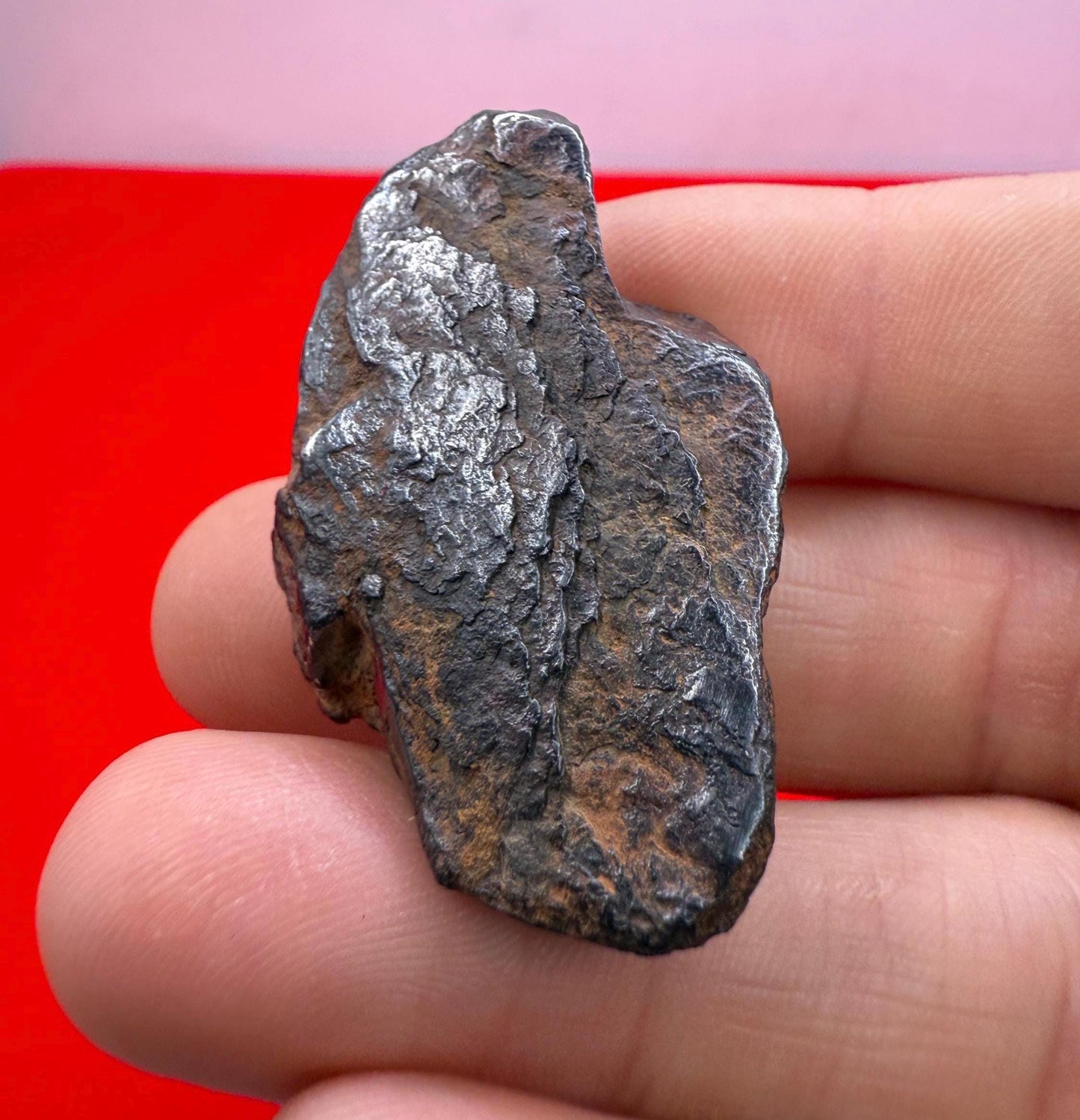 Gibeon Meteorite, Namibia, Iron IVA, 36.31 grams, Rare Meteorite, Iron Meteorite, Astronomy Gift, Space Gift, African Meteorite