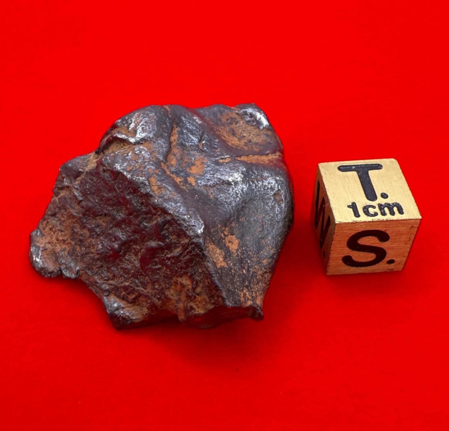 Gibeon Meteorite, Namibia, Iron IVA, 43.07 grams, Rare Meteorite, Iron Meteorite, Astronomy Gift, Space Gift, African Meteorite
