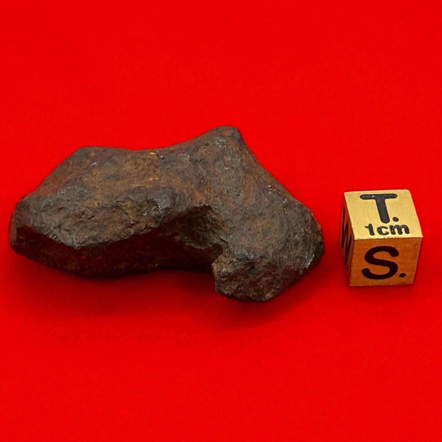 Unique Iron Meteorite Mundrabilla, 69.82 grams, Astronomy Gift, Space Gift, Iron Meteorite, Australia, Meteorite Collection, Space, COA