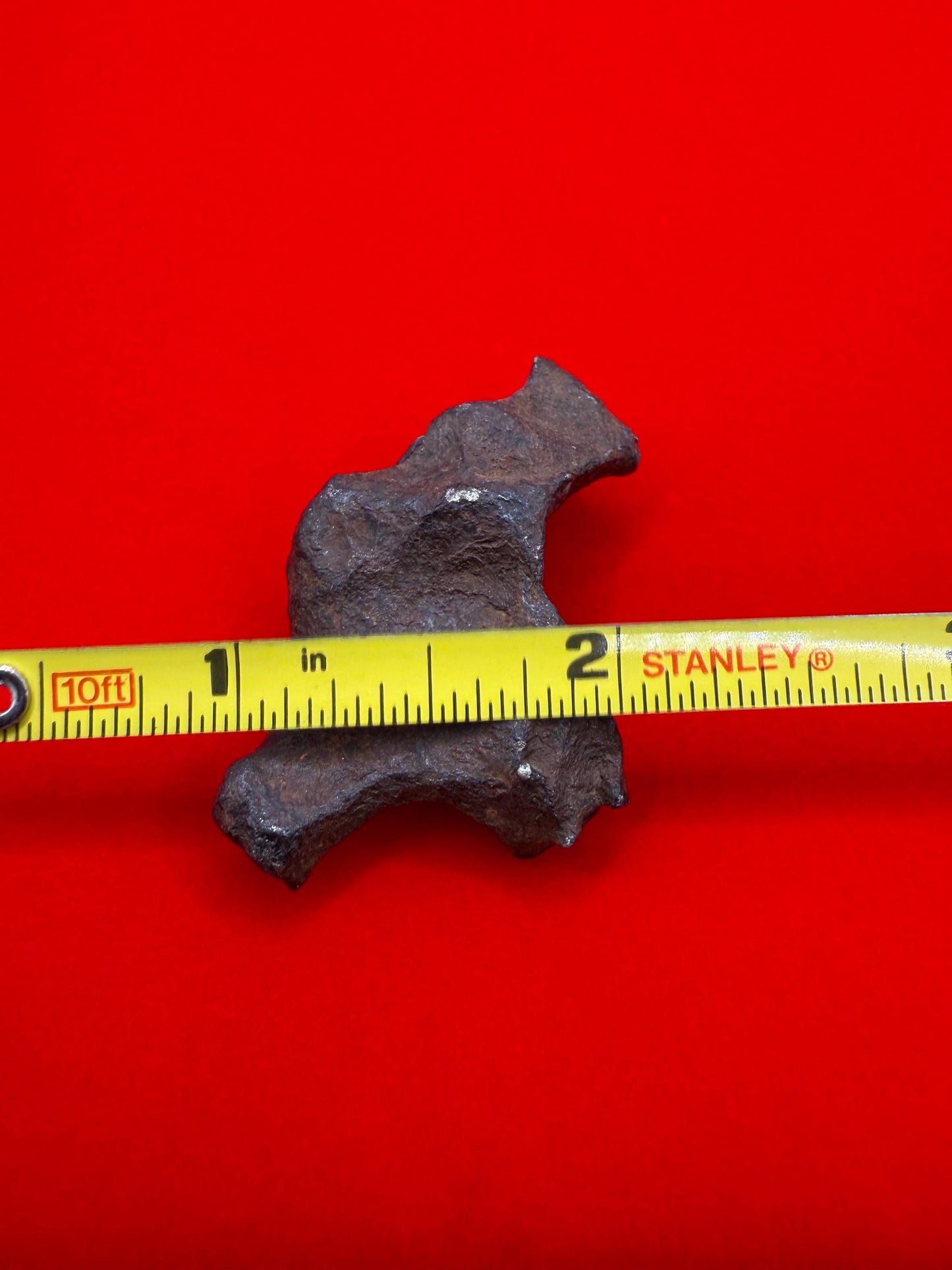 Unique Iron Meteorite Mundrabilla, 44.93 grams, Astronomy Gift, Space Gift, Iron Meteorite, Australia, Meteorite Collection, Space, COA