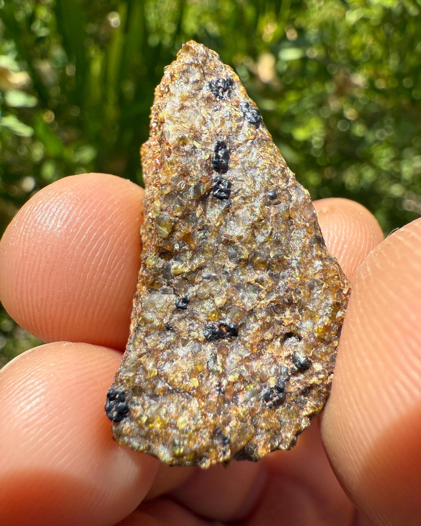 NWA 17418 Diogenite Meteorite, HED Achondrite Meteorite, Diogenite, Astronomy Gift, Space Gift, Iron Meteorite, Space, 8.22 grams