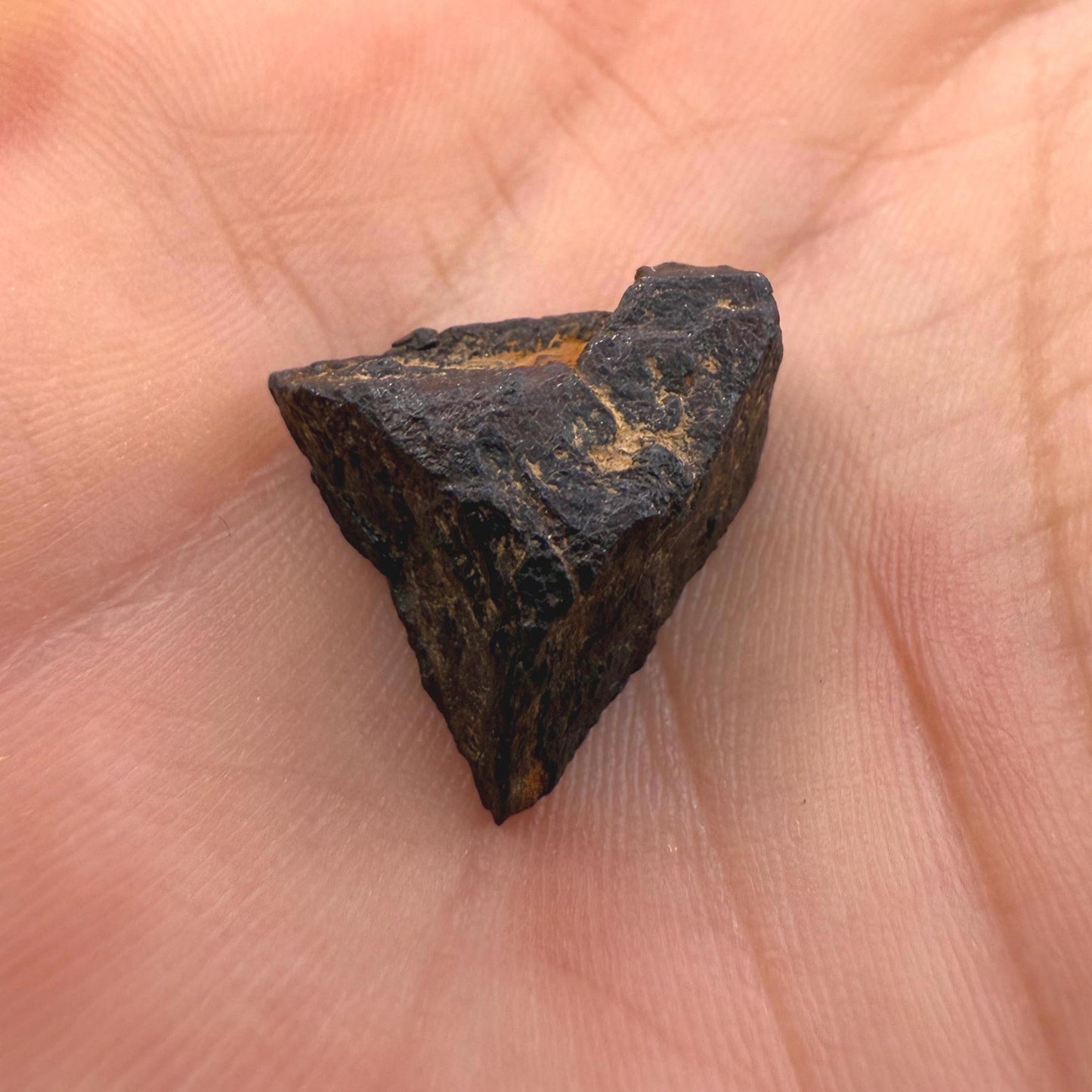 Gibeon Meteorite, Namibia, Iron IVA, 5.18 grams, Rare Meteorite, Iron Meteorite, Astronomy Gift, Space Gift, African Meteorite