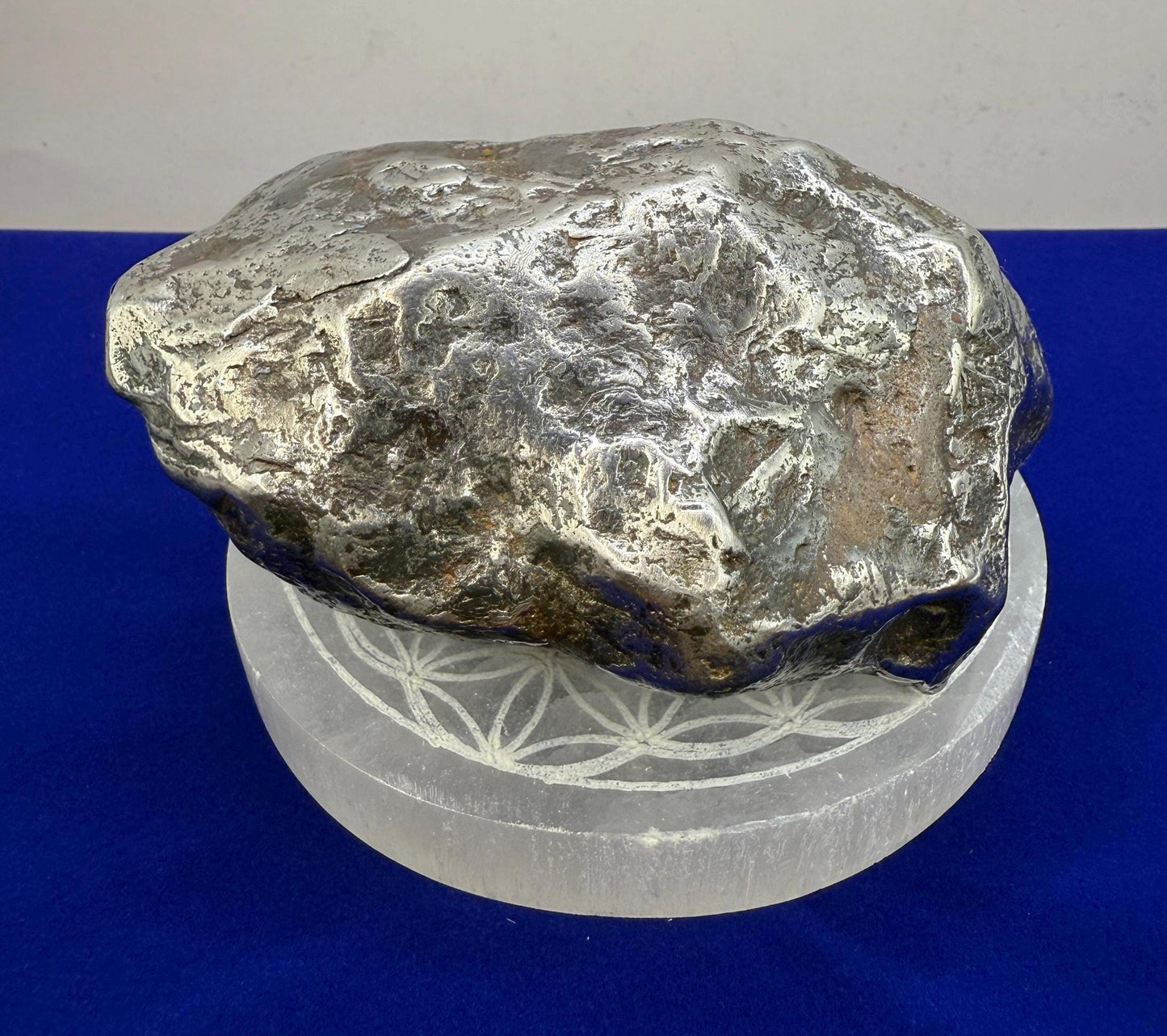 Beautiful Large Aletai Meteorite Specimen, 3 lbs 2.1oz, Meteorite Collection, Astronomy Gift, Authentic Meteorite, Space Gift, Office Decor