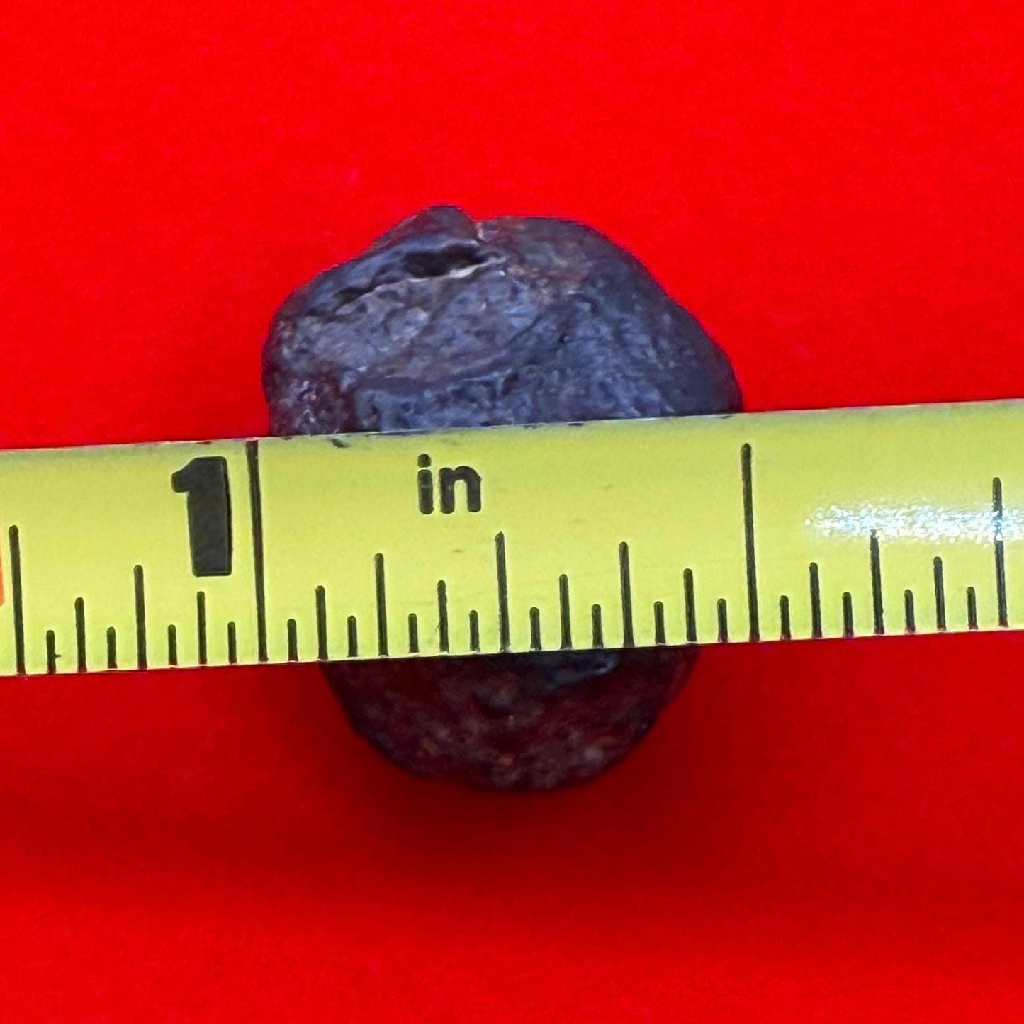 Meteorite NWA 869 Chondrite Stony Meteorite, 4.77 grams, Authentic Meteorite, Authentic Meteorite, COA, Astronomy Gift, Space Gift