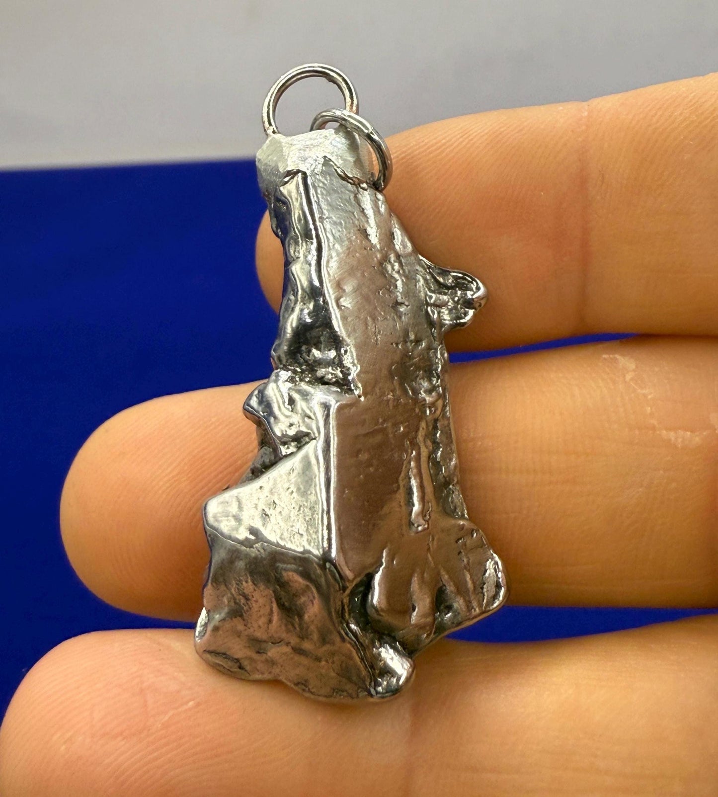 Beautiful Aletai Meteorite Pendant, 20.50 grams, Astronomy Gift, Authentic Meteorite, Meteorite Jewelry, Meteorite Pendant, COA, Space Gift