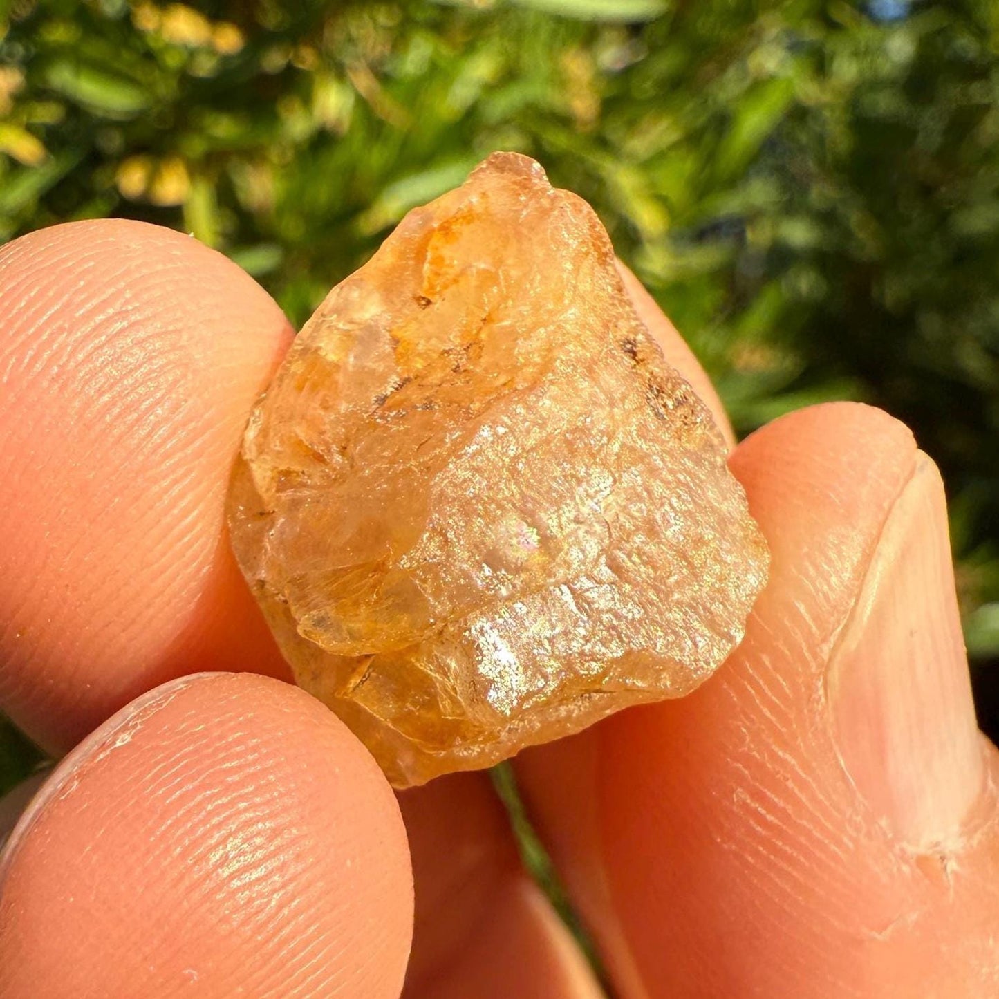 Golden Brazilian Phenacite, 6.54g (32.7 Carats) Tangerine Phenacite, High-Vibration Gemstone from Bahia, Brazil, Rare Collector’s Crystal