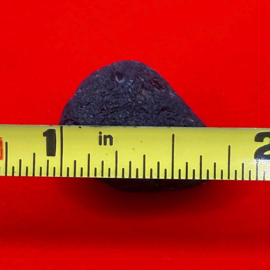 Saffordite Specimen, Cintamani, Rare and Beautiful, Shamanic, Arizona, Pseudotektite, Obsidian, Metaphysical, 6.26 grams
