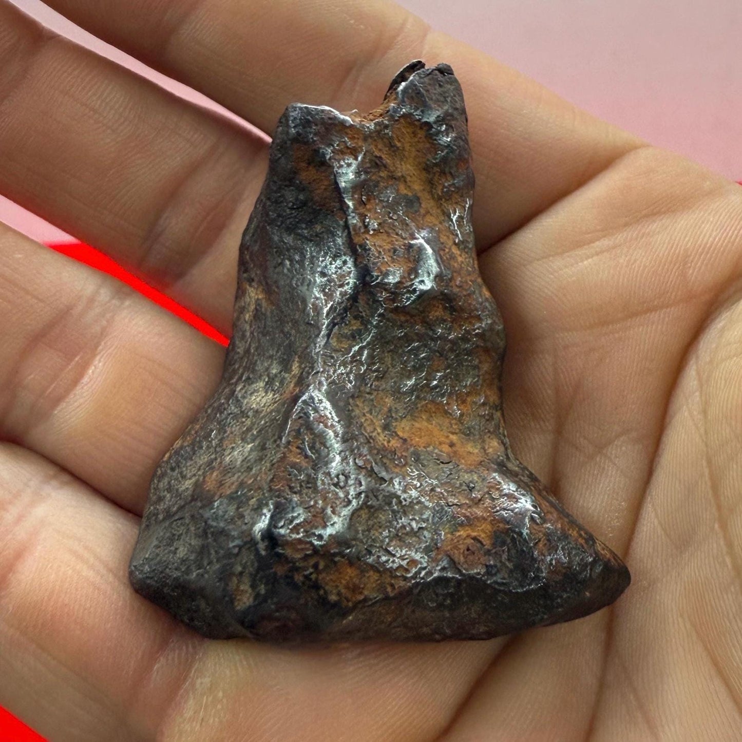 Unique Iron Meteorite Mundrabilla, 105.19 grams, Astronomy Gift, Space Gift, Iron Meteorite, Australia, Meteorite Collection, Space, COA