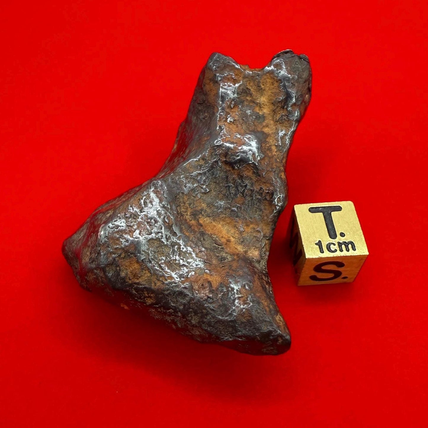 Unique Iron Meteorite Mundrabilla, 105.19 grams, Astronomy Gift, Space Gift, Iron Meteorite, Australia, Meteorite Collection, Space, COA