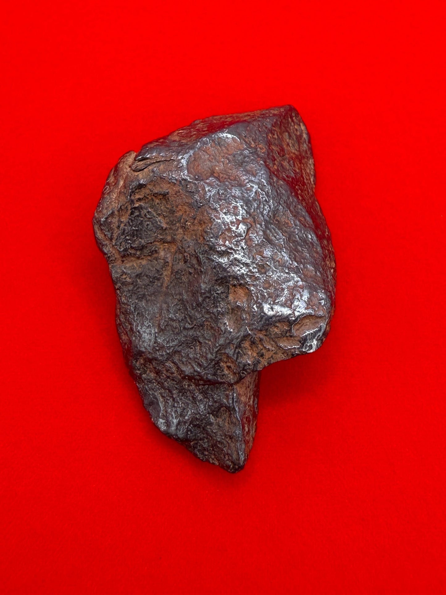 Gibeon Meteorite, Namibia, Iron IVA, 36.31 grams, Rare Meteorite, Iron Meteorite, Astronomy Gift, Space Gift, African Meteorite