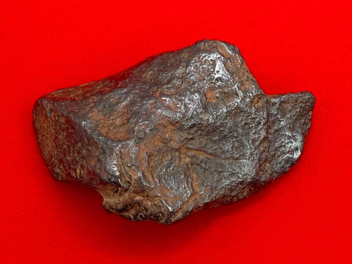 Gibeon Meteorite, Namibia, Iron IVA, 36.31 grams, Rare Meteorite, Iron Meteorite, Astronomy Gift, Space Gift, African Meteorite