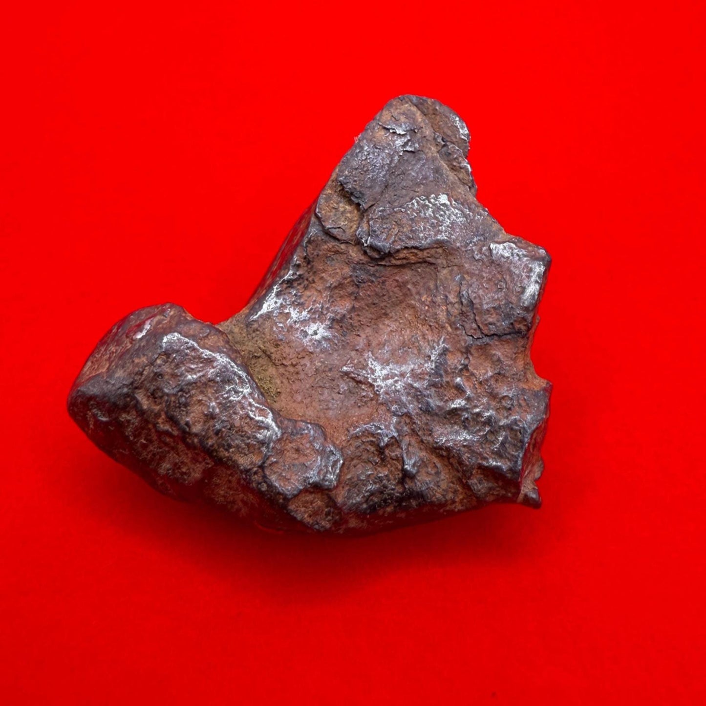 Gibeon Meteorite, Namibia, Iron IVA, 43.07 grams, Rare Meteorite, Iron Meteorite, Astronomy Gift, Space Gift, African Meteorite