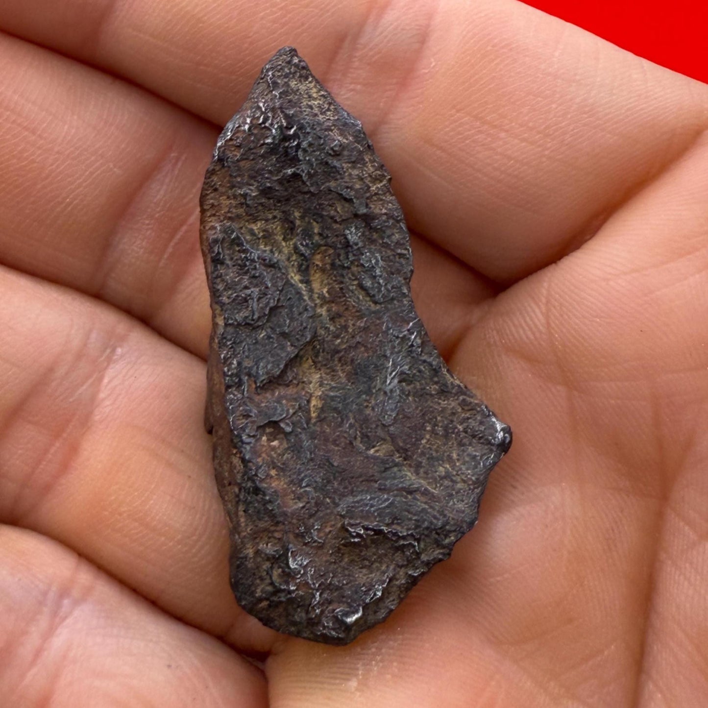 Gibeon Meteorite, Namibia, Iron IVA, 17.10 grams, Rare Meteorite, Iron Meteorite, Astronomy Gift, Space Gift, African Meteorite