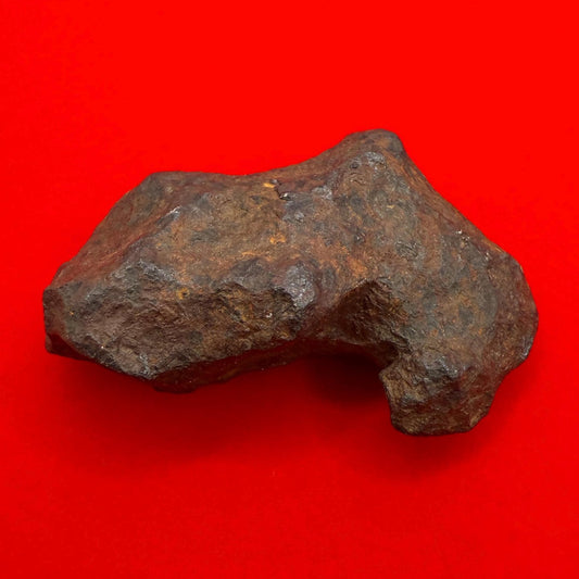 Unique Iron Meteorite Mundrabilla, 69.82 grams, Astronomy Gift, Space Gift, Iron Meteorite, Australia, Meteorite Collection, Space, COA