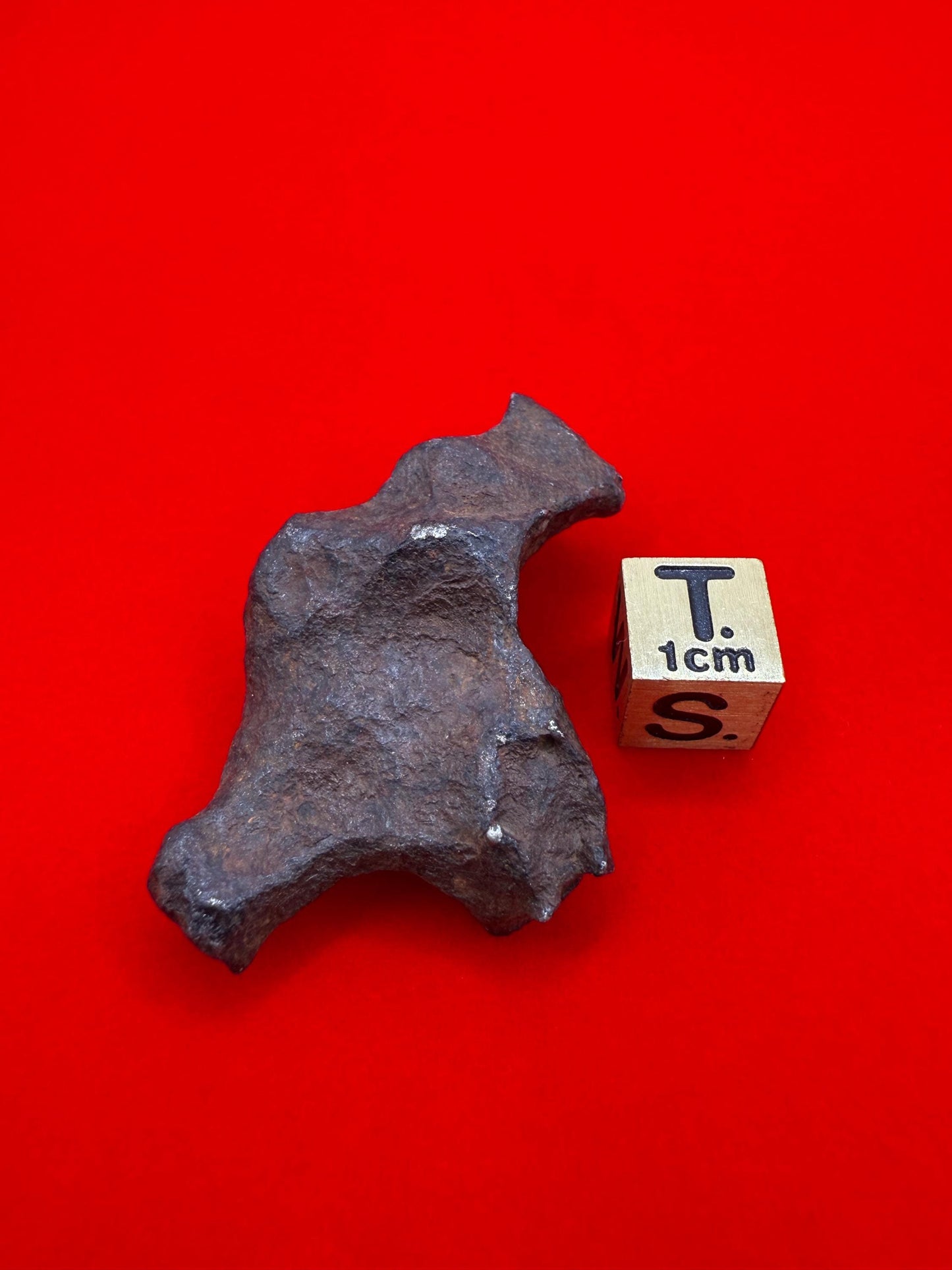 Unique Iron Meteorite Mundrabilla, 44.93 grams, Astronomy Gift, Space Gift, Iron Meteorite, Australia, Meteorite Collection, Space, COA