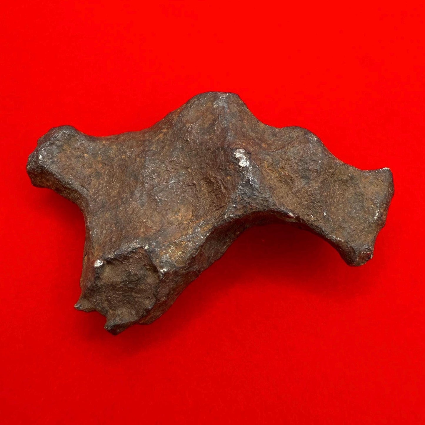 Unique Iron Meteorite Mundrabilla, 44.93 grams, Astronomy Gift, Space Gift, Iron Meteorite, Australia, Meteorite Collection, Space, COA